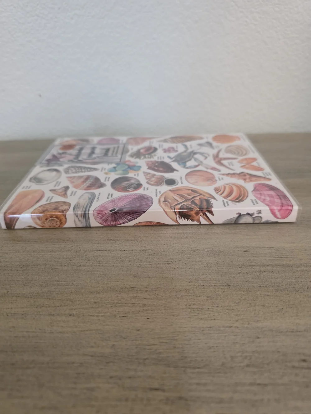 Shell & Sea Life Journal With Vinyl Cover